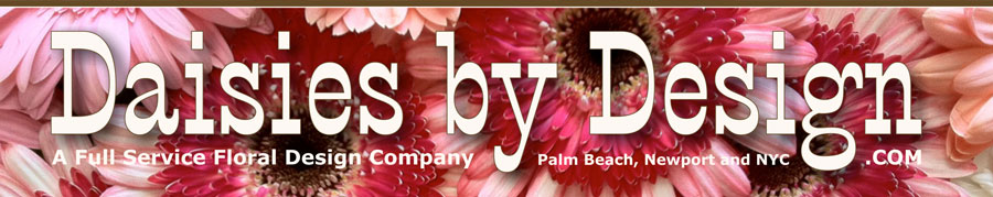 Daisies by Design